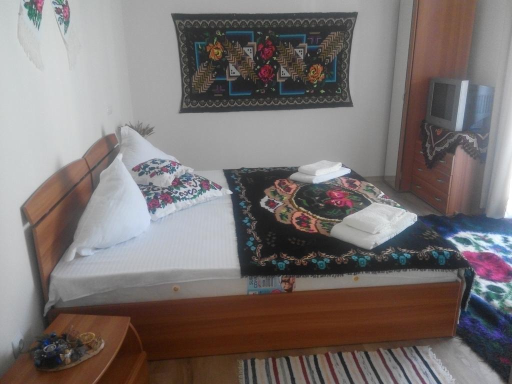 Casa Bunicii Hotel Moisei Luaran gambar