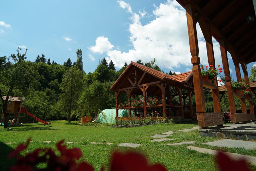 Casa Bunicii Hotel Moisei Luaran gambar