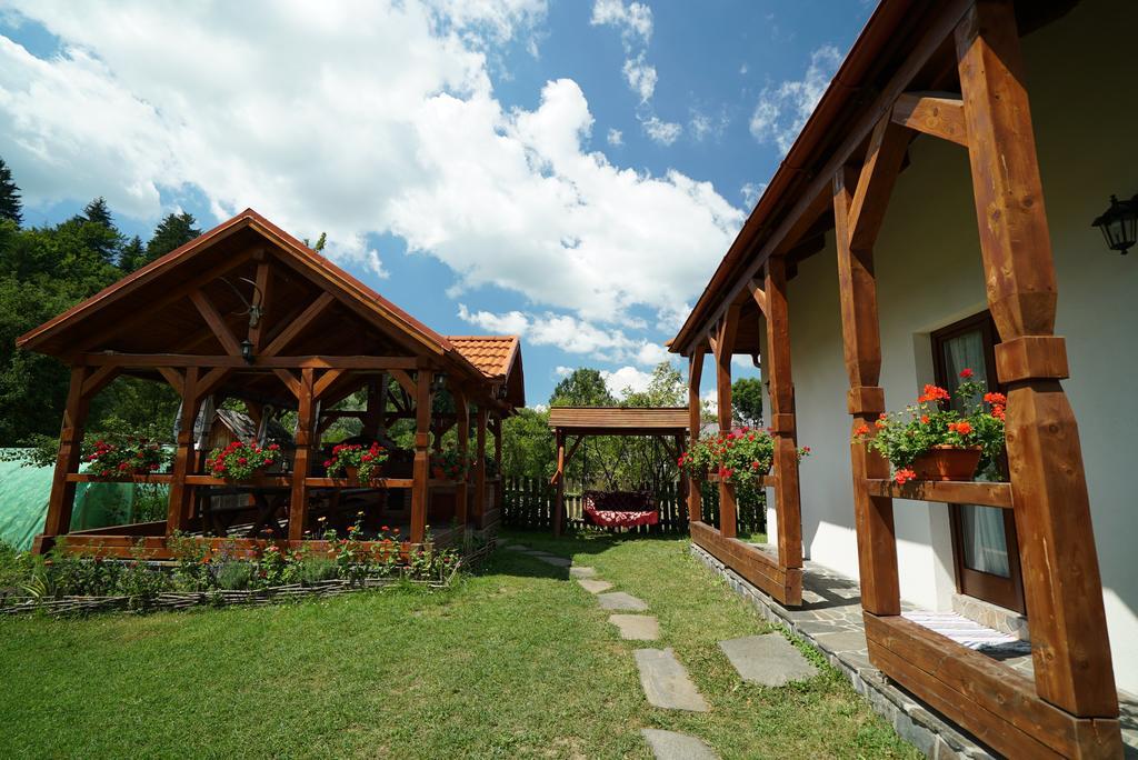 Casa Bunicii Hotel Moisei Luaran gambar