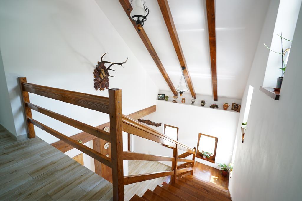 Casa Bunicii Hotel Moisei Luaran gambar