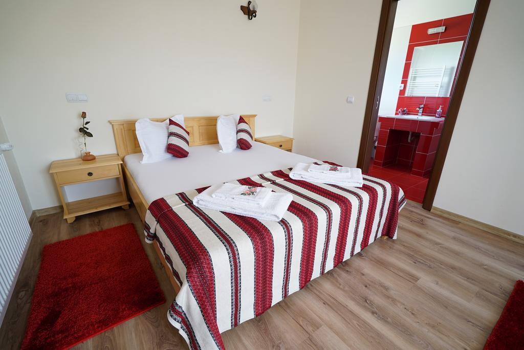 Casa Bunicii Hotel Moisei Luaran gambar