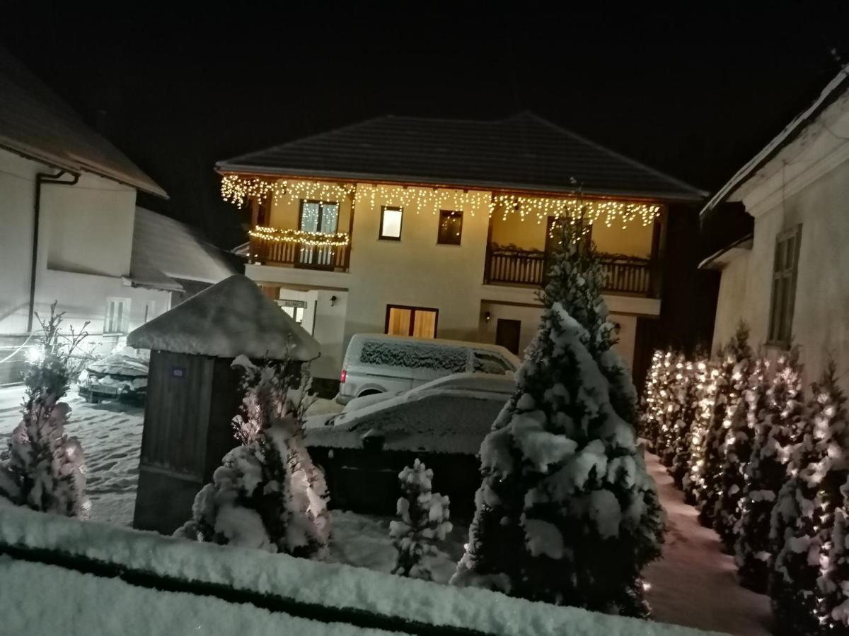 Casa Bunicii Hotel Moisei Luaran gambar